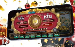 hướng dẫn chơi tài xỉu md5 dễ hiểu